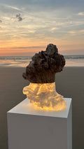 3print lamp wood