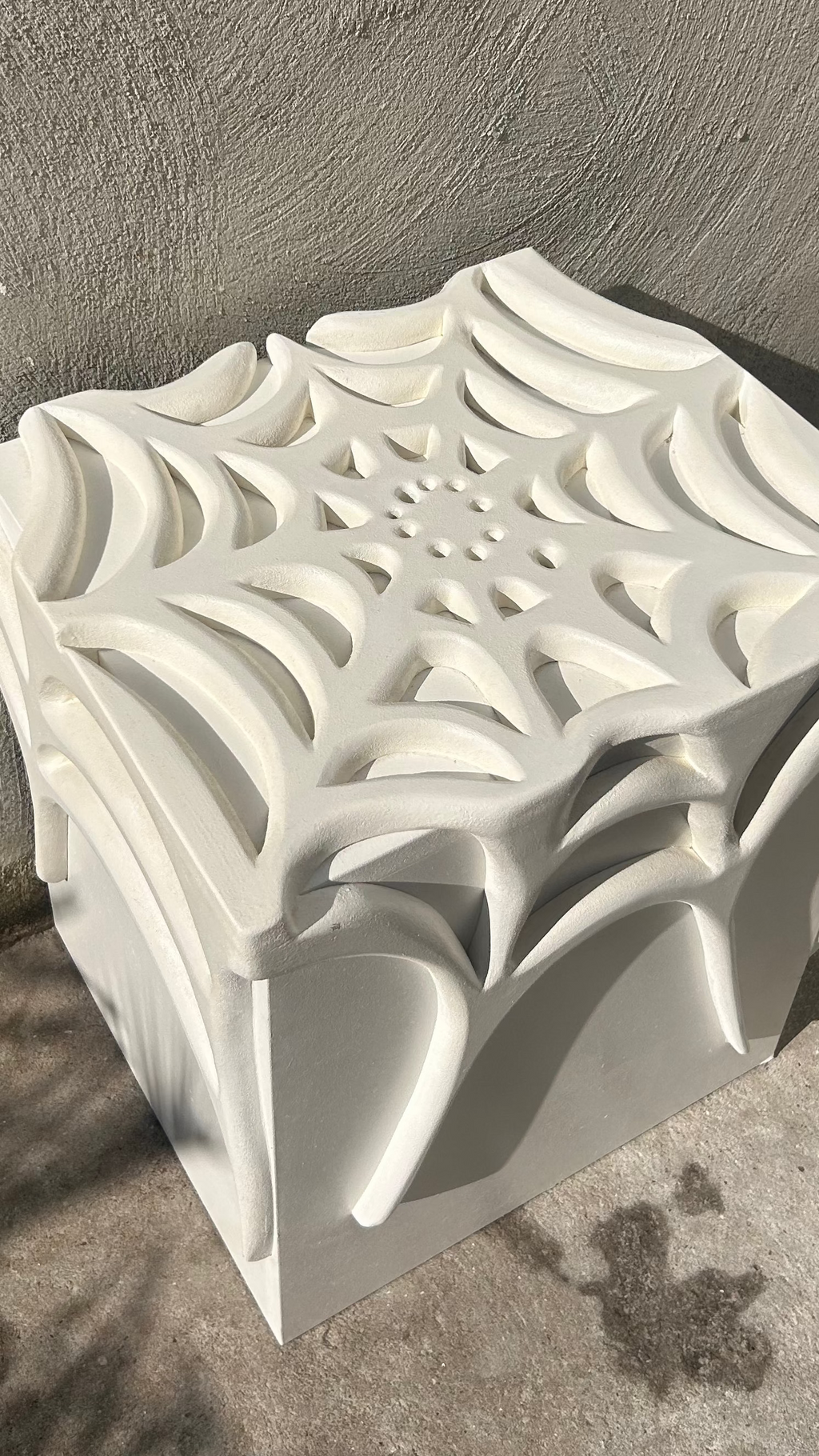 Spider  cupboard