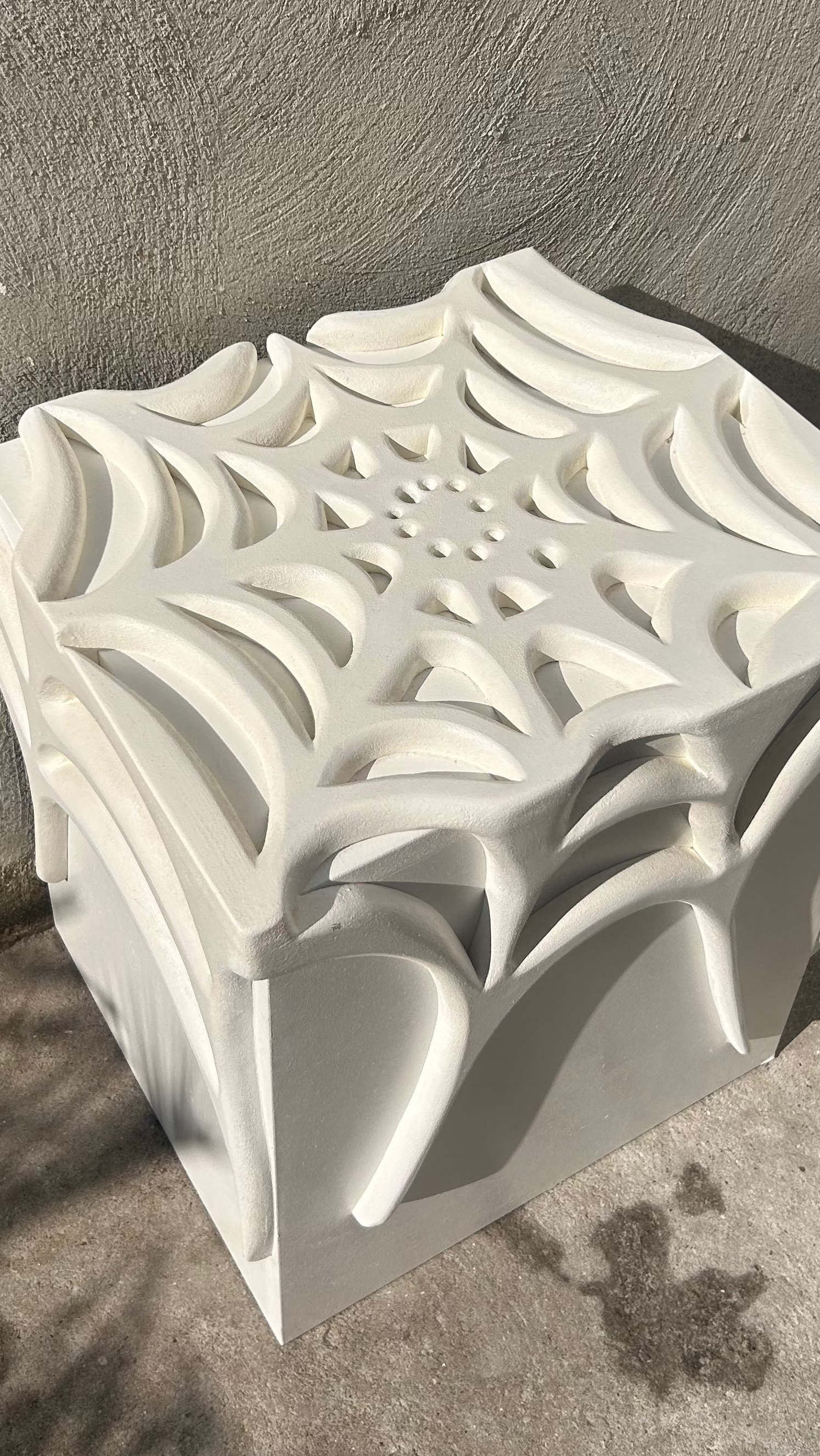 Spider  cupboard